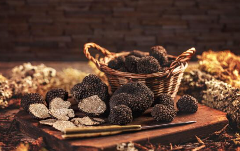 Capture d’écran 2025-04-02 à 10.26.24